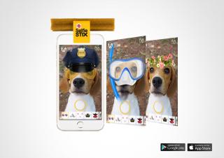 Pedigree: SelfieSTIX, 2